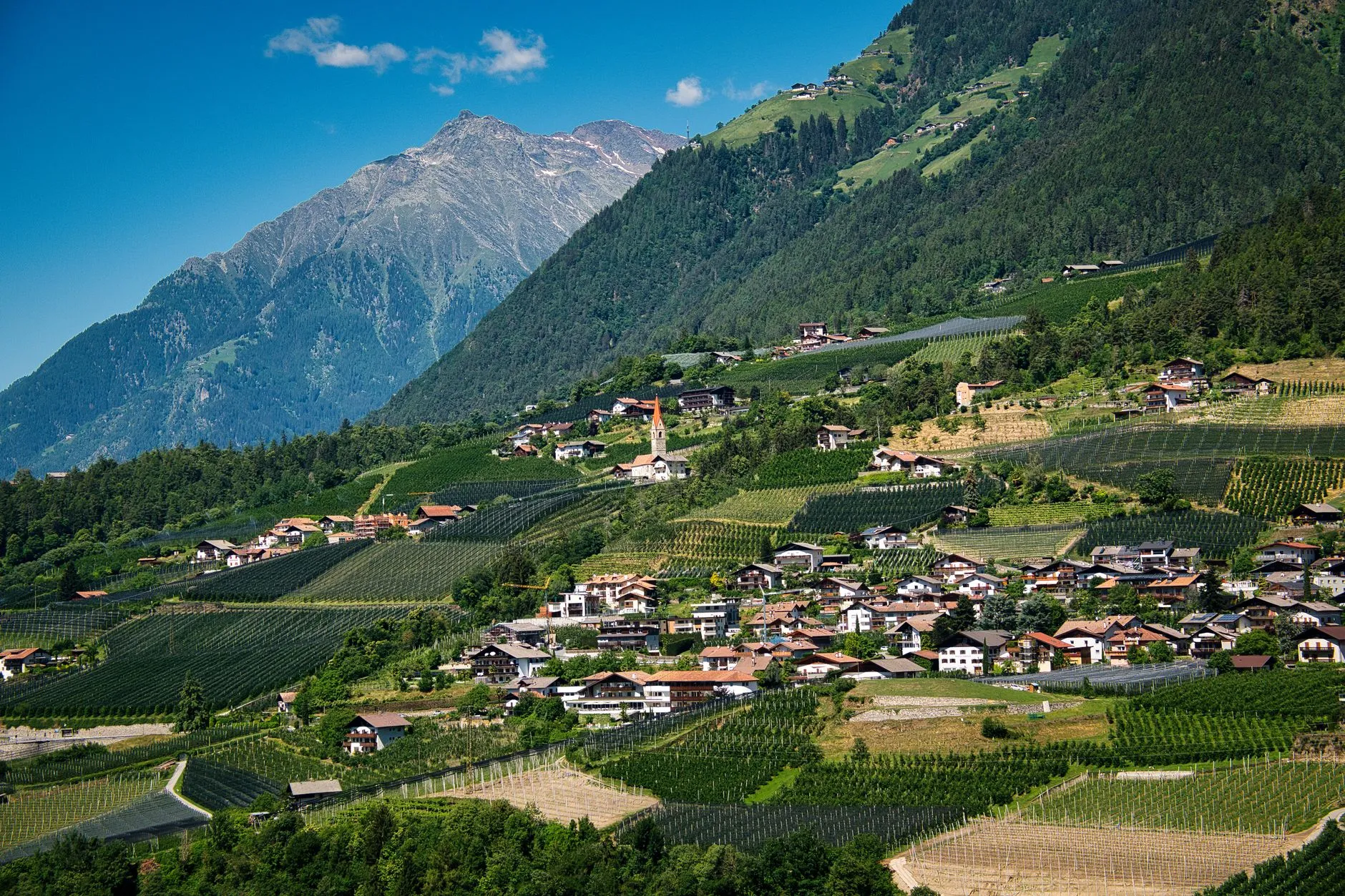 Flughafentransfer zwischen Dorf Tirol bei Meran und dem Flughafen Frankfurt mit Chauffeur