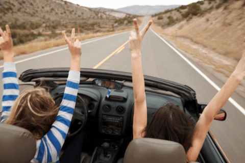 One-Day Trip Service
